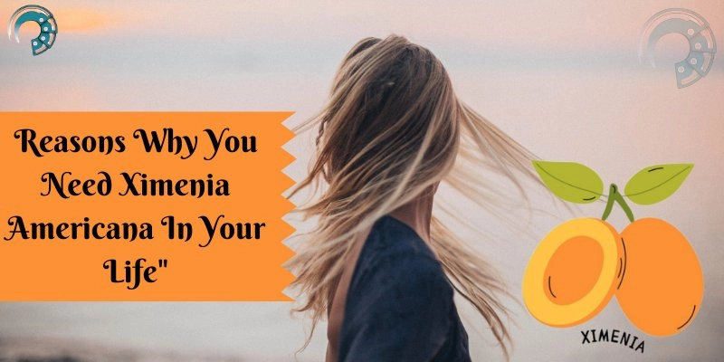 Reasons Why You Need Ximenia Americana In Your Life"