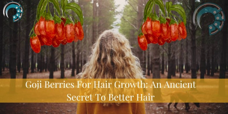 Goji Berries For Hair Growth: An Ancient Secret To Better Hair