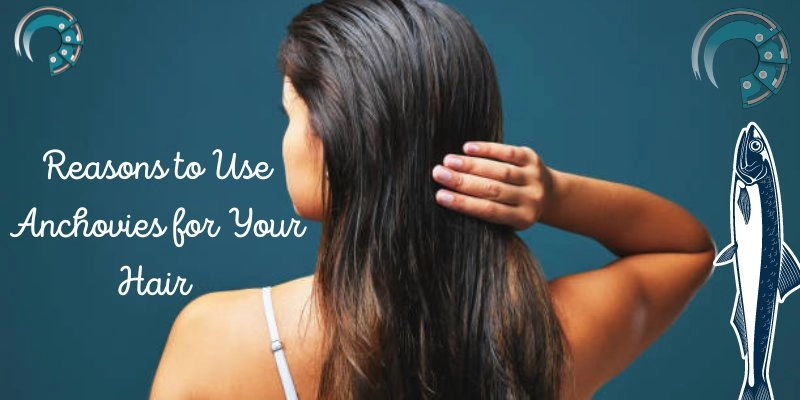 Reasons to Use Anchovies for Your Hair