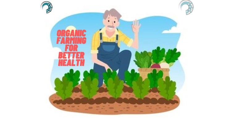 Organic Farming For Better Health