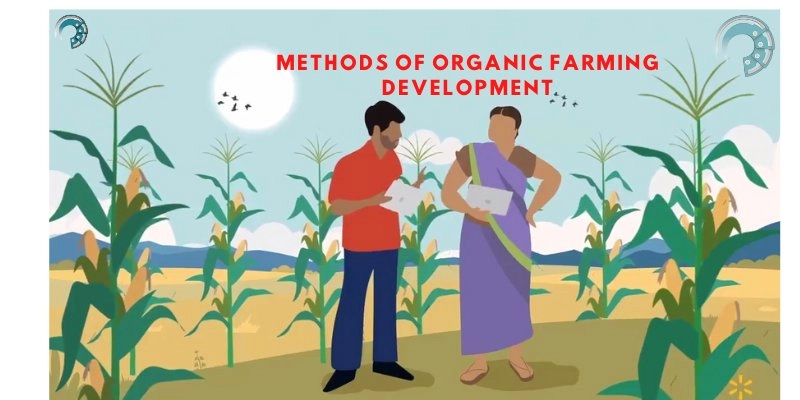 Methods Of Organic Farming Development