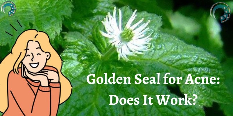 Golden Seal for Acne: Does It Work?