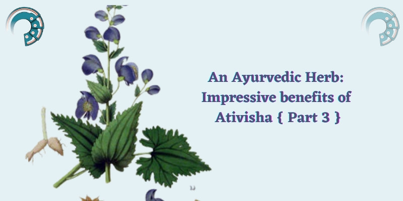 An Ayurvedic Herb : Impressive benefits of Ativisha { Part 3 }