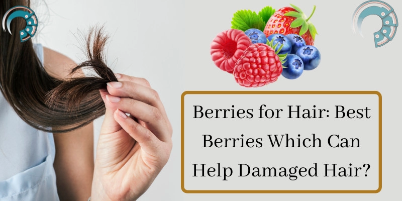 Berries for Hair: Best Berries Which Can Help Damaged Hair?