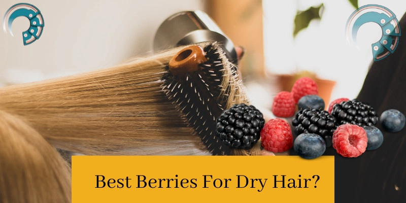Best Berries For Dry Hair?