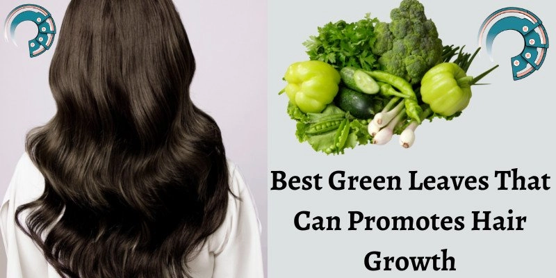 Best Green Leaves That Can Promotes Hair Growth