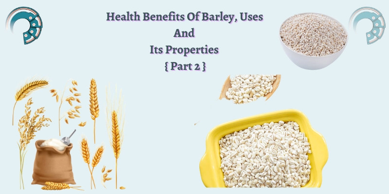 Health Benefits Of Barley, Uses And Its Properties { Part 2 }