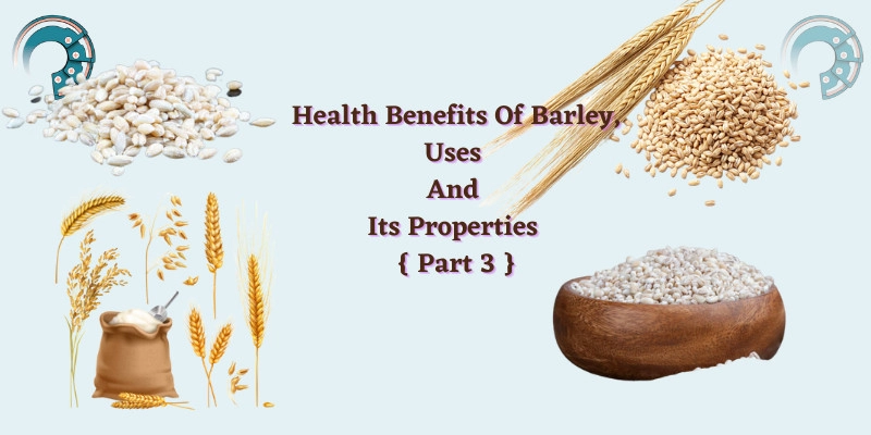 Health Benefits Of Barley, Uses And Its Properties { Part 3 }