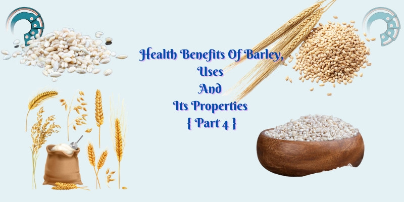 Health Benefits Of Barley, Uses And Its Properties { Part 4 }