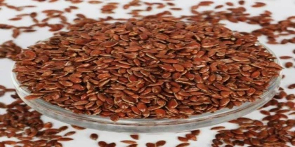 Nutritional facts of Flax seeds