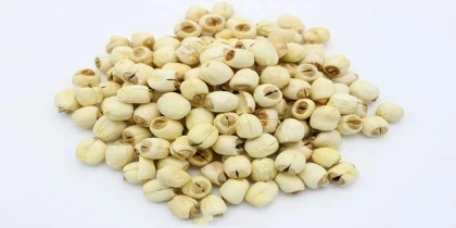 Nutritional facts of Lotus seeds