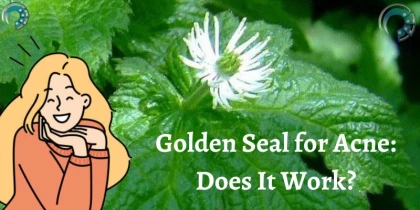 Golden Seal for Acne: Does It Work?