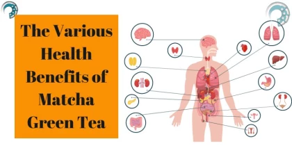 The Various Health Benefits of Matcha Green Tea