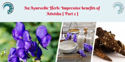 An Ayurvedic Herb : Impressive benefits of Ativisha { Part 2 }