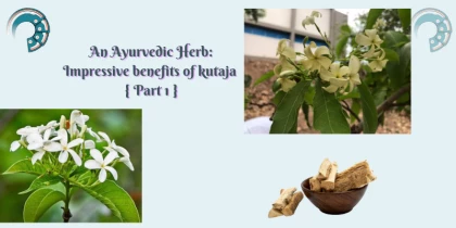 An Ayurvedic Herb : Impressive benefits of Kutaja { Part 1 }