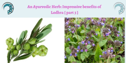 An Ayurvedic Herb : Impressive benefits of Lodhra { part 3 }