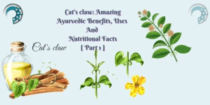 Cat's claw: Amazing Ayurvedic Benefits, Uses And Nutritional Facts { Part 1 }