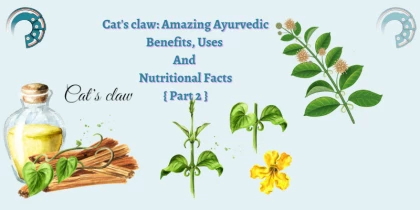 Cat's claw: Amazing Ayurvedic Benefits, Uses And Nutritional Facts { Part 2 }