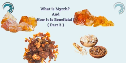 What is Myrrh? And How It Is Beneficial? { Part 3 }