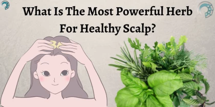 What Is The Most Powerful Herb For Healthy Scalp?