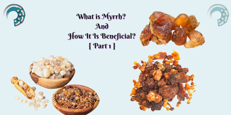 What is Myrrh? And How It Is Beneficial? { Part 1 }
