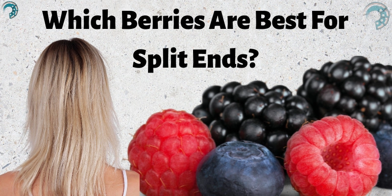 Which Berries Are Best For Split Ends?
