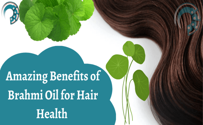 Amazing Benefits of Brahmi Oil for Hair Health